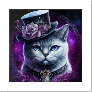 White British Shorthair With A Hat Posters and Art